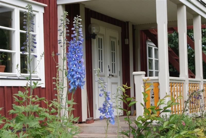 Hallagardens B&B Vintrosa ภายนอก รูปภาพ